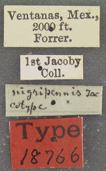Media type: image; Entomology 18766   Aspect: labels